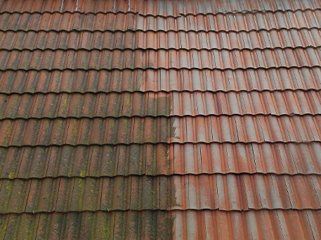 Roof Cleaning – One