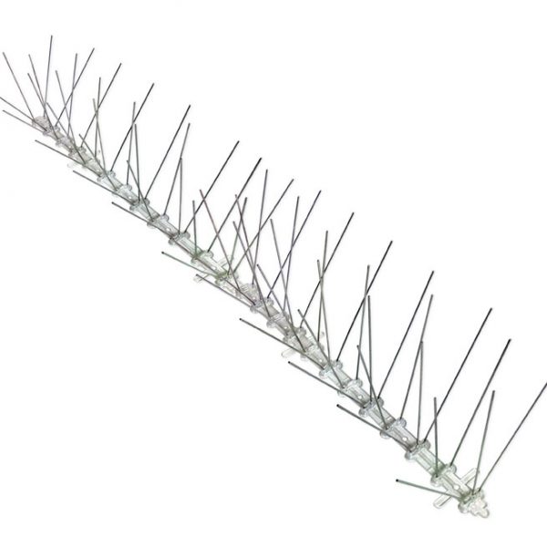 stainless steel track spikes